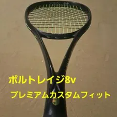 2026年最新】ボルトレイジ8V カスタムの人気アイテム - メルカリ
