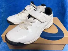 Item thumbnail for item ef668b49-eea8-44b4-bdf2-43d10f680c39