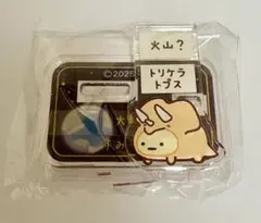 大絶滅展 すみっコぐらし アクスタ