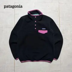 Patagonia SYNCHILLA スナップT フリースジャケット