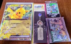 JR東日本 ポケモンメガスタンプラリー2025 景品セット