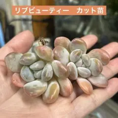 METAL MAX 800様 リクエスト 2点 まとめ商品