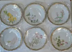 〈希少〉ノリタケ ガラ・コンテッサ 皿 6枚セット