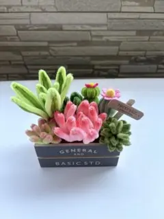モールフラワー　多肉植物とサボテンの寄植え　枯れないお花