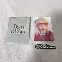 Item thumbnail for item 9025299f-1d0a-42c8-8844-ba958e00f136