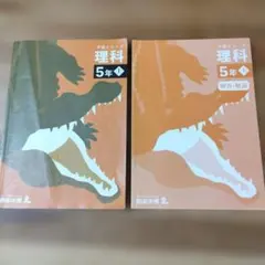2026年最新】四谷大塚予習シリーズ 5年の人気アイテム - メルカリ