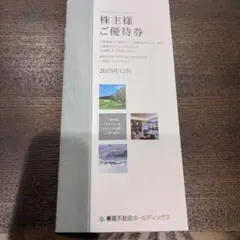 お値下げ　東急不動産ホールディングス　株主優待券