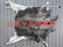 2026年最新】毛皮 トナカイの人気アイテム - メルカリ