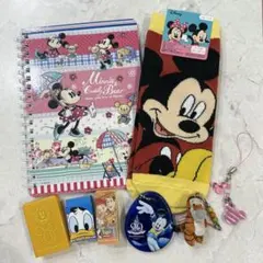 ディズニー まとめ売り 文房具 靴下 キーホルダー ディズニーランド