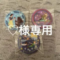 刺繍缶バッジ　ディズニー　アラジン　白雪姫　ピーターパン