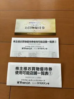 YAMADAお買物優待券　6枚　3000円分