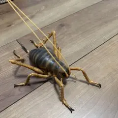 巨大アンモナイトフィギュア 特撮レアもの - メルカリ