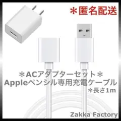 セット アップルペンシル Apple pencil 充電器 充電 ケーブル