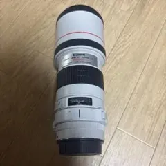 Canon EF 300mm F4 L USM 単焦点　動作確認済