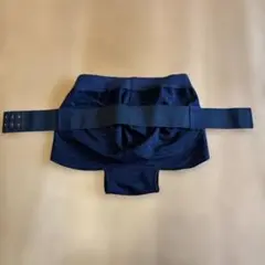 チャコット Chacott ラテン ショーツ ガードル 社交ダンス ブラック L