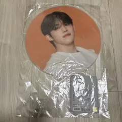 SEVENTEEN FOLLOW AGAIN エスクプス うちわ