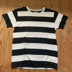 agnis b. ストライプ 半袖Tシャツ