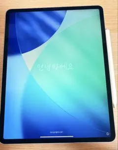 2026年最新】Apple iPad Pro (12.9インチ Wi-Fi 256GB) - ゴールド 