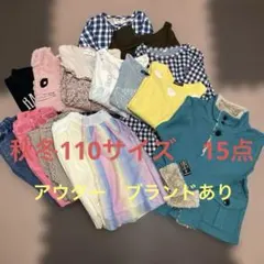 秋冬 キッズ服 110cm まとめ売り 15点