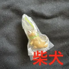 おぱんちゅうさぎとわんころ マスコットチャーム 柴犬