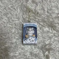 ちいかわ あのこ チョコボックス