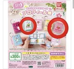 サンリオキャラクターズ プロフィール帳 けろけろけろっぴ マロンクリーム