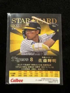 2026年最新】佐藤輝明の人気アイテム - メルカリ