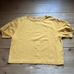 Natural Beauty Basic 半袖Tシャツ マスタード Mのサムネイル