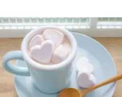 ❤【新品】れちゃん様専用♪送料無料♪