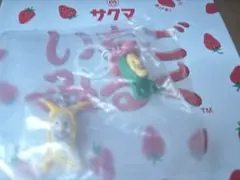 こびとづかん ホトケアカバネ、リトルハナガシラ