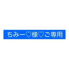 ちみー♡様ご専用♡ ホログラムステッカー treasure ペンライト ジフン