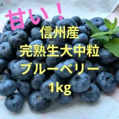 ✦完熟大粒生ブルーベリー クール便✦ ☆完熟大粒生ブルーベリークール便☆ - メルカリ