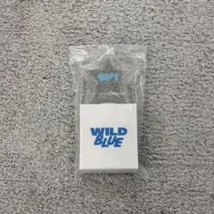 2026年最新】WILDBLUE ペンライトの人気アイテム - メルカリ