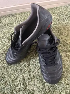 ミズノサッカースパイク モナルシーダ NEO II PRO 24.0