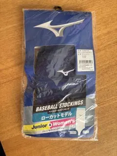 Item thumbnail for item 91ebdc6f-80d3-4006-a79a-bda5d7946712