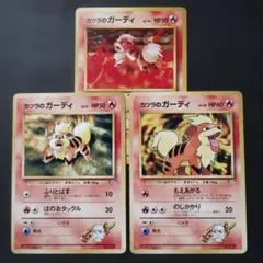 【旧裏面】カツラのガーディ　3枚セットのサムネイル