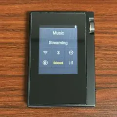 Item thumbnail for item 3bdbf592-3aa6-4753-9b43-8508a3f0b3b8