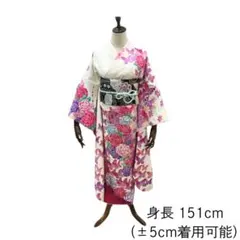 ≪早い者勝ち≫【お得品】 振袖セット 成人式 正絹 蝶柄 振袖 白 S108