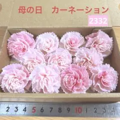 ソラフラワー　2332