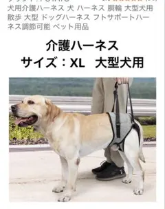 Item thumbnail for item 2964d5d6-8321-45ec-9896-acd8be08dc46