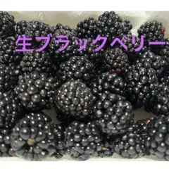 生ブラックベリーのサムネイル