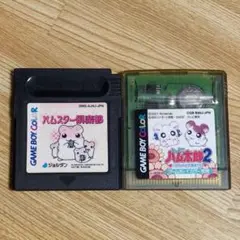 ゲームボーイカラー ソフト2点