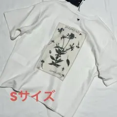 hazama Adoコラボ ロゴカットソー XS - メルカリ
