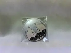 dr.stone デコレクション缶バッジ 暁 氷月 12個 - メルカリ