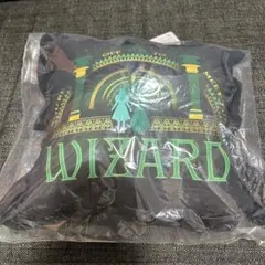 ウィキッド 一番くじ クッション B賞 22