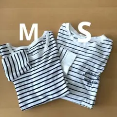 ハニーズ　Honeys COLAZA ボーダー　長袖　Tシャツ　カットソーS M