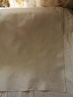 Item thumbnail for item 081156c8-5ff5-48b0-a931-0de38b0612ed