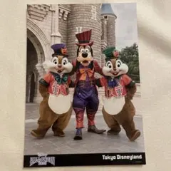 ディズニー ハロウィン スペシャルフォト スペフォ グーフィー チップ デール