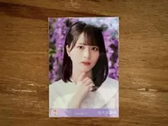 2026年最新】絶対アイドル辞めないで 生写真 佐々木舞香の人気アイテム