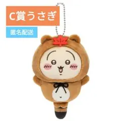 【たぬきだもんくじ】C賞うさぎ1点